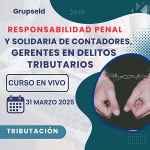 Responsabilidad penal contadores